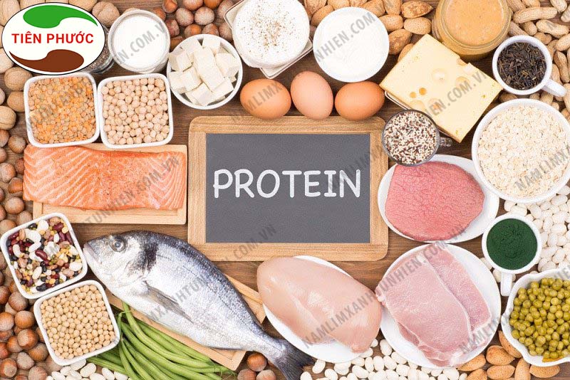 Các loại thực phẩm có chứa nhiều Protein